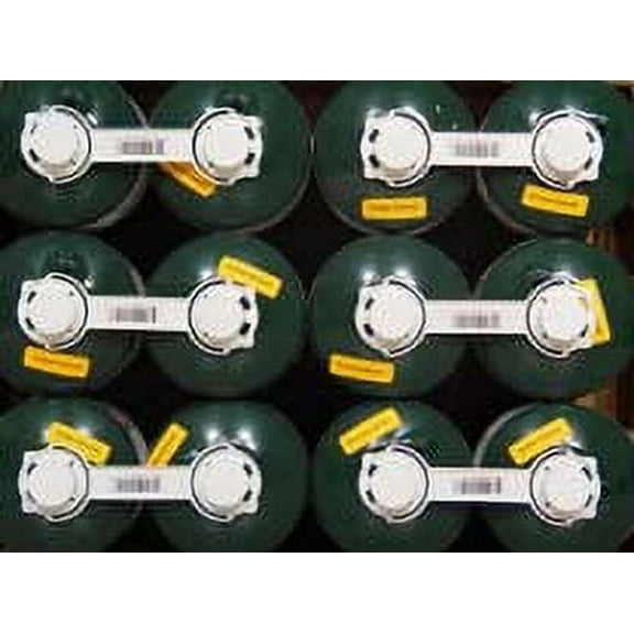 Ozark-trail Propane 16.4oz 2-pack Pallet