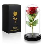 Oziral Rose Flower Gifts for Girlfriend Mom Women Artificial Rose Flower in Glass Dome Christmas Birthday Gift for Mom Wife Valentine's Day Gifts for Her Forever Rose Decor for Grandma Sister