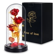 Red Roses Artificial Flowers with LED Light Eternal Forever Rose in Glass Dome Gifts for Her Valentines Day Mothers Day Christmas Birthday