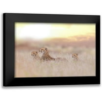 Ozmen, Ozkan 14x11 Black Modern Framed Museum Art Print Titled - Cheetah Family
