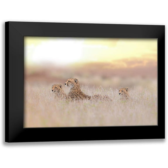 Ozmen, Ozkan 18x13 Black Modern Framed Museum Art Print Titled - Cheetah Family
