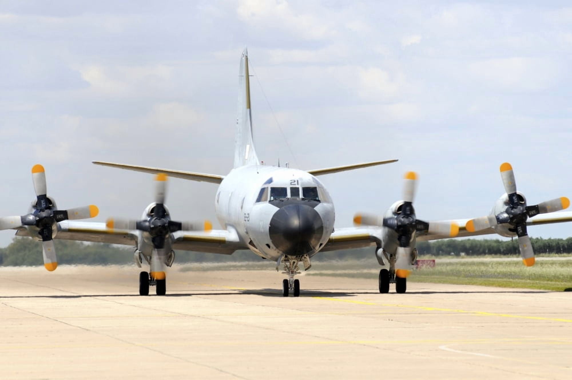 P-3M Orion of the Spanish Air Force Canvas Art - Riccardo NiccoliStocktrek Images (17 x 12)
