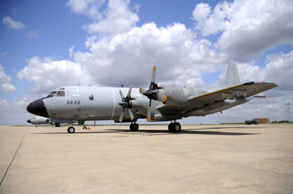 P-3M Orion of the Spanish Air Force Canvas Art - Riccardo NiccoliStocktrek Images (34 x 23)