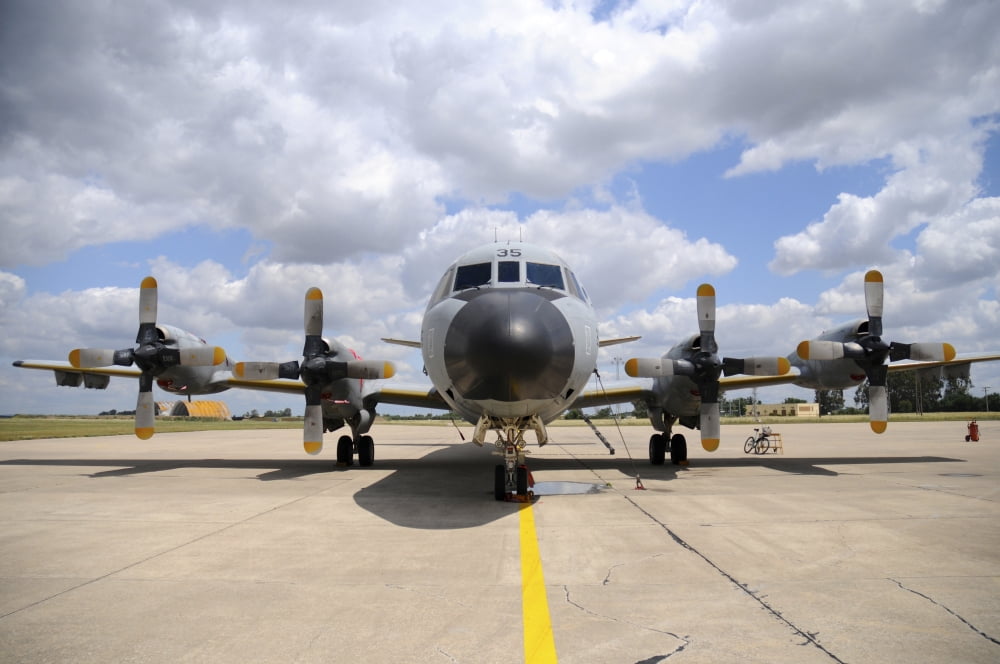 P-3M Orion of the Spanish Air Force Canvas Art - Riccardo NiccoliStocktrek Images (34 x 23)