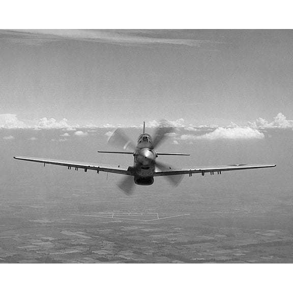 P-51 / P-51D Mustang WWII Aircraft Style - A - 12x18 Inch Laminated Aviation Poster - Stunning Detail and Bold Colors