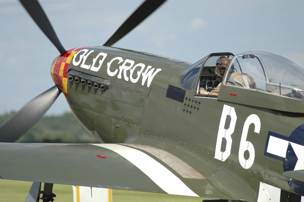 P-51D Mustang in United States Army Air Corps colors Canvas Art - Riccardo NiccoliStocktrek Images (17 x 12)