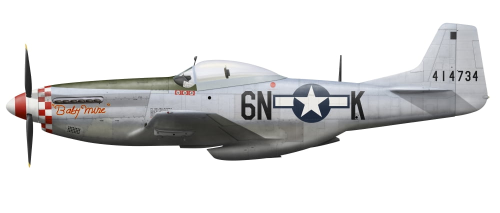 P-51D Mustang nicknamed Baby Mine Canvas Art - InkwormStocktrek Images (22 x 10)