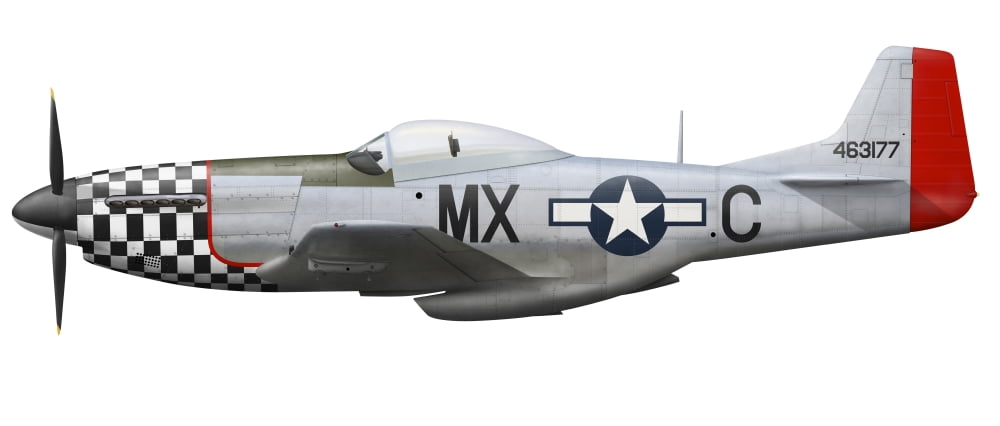 P-51D Mustang of the 78th Fighter Group Canvas Art - InkwormStocktrek Images (43 x 19)