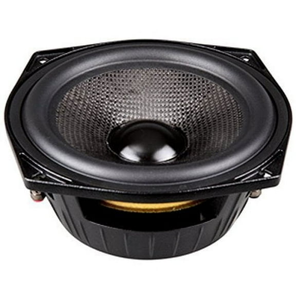 P-Audio SN6100N Channel Stage Subwoofer