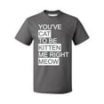 thumbnail image 1 of P&B You Cat to Be Kitten Me Right Meow Men's T-shirt, Charcoal, 2XL, 1 of 2