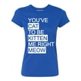 thumbnail image 1 of P&B You Cat to Be Kitten Me Right Meow Women's T-shirt, Royal, 2XL, 1 of 2