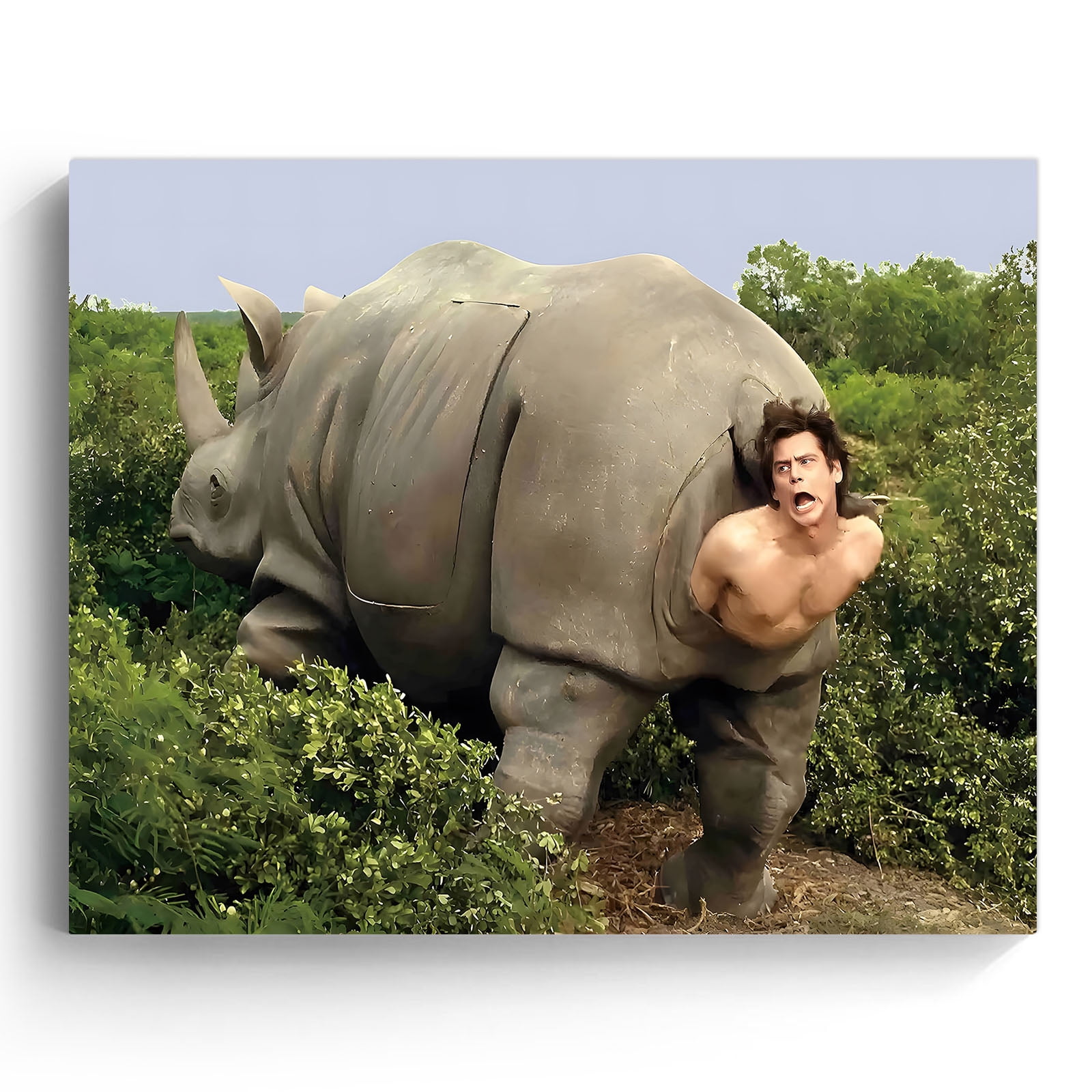 P&L Art Framed Funny Rhino Scene Bathroom Canvas Wall Art (Framed 12 X 16) - Quirky Humorous Home Decor for Bathroom, Powder Room & More - Unique Gift