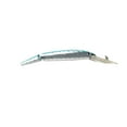 thumbnail image 1 of P-Line PPDD-11 Predator Silver/Blue Back, 5.5-Inch, 1 of 1