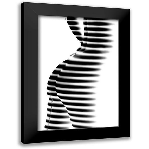 P., Mato 11x14 Black Modern Framed Museum Art Print Titled - Zebra