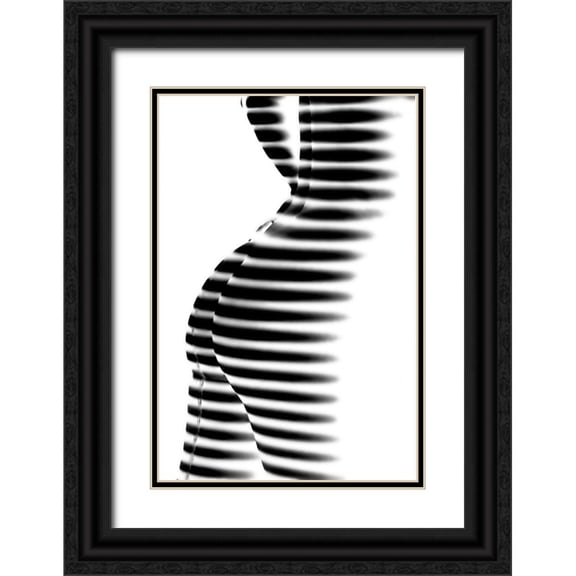P., Mato 11x14 Black Ornate Wood Framed with Double Matting Museum Art Print Titled - Zebra