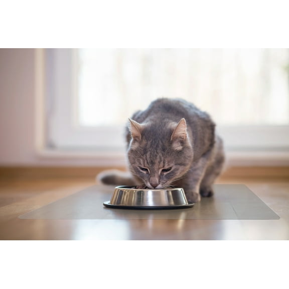 P-Tex Anti-Microbial Pet Station Mat for Hard Floors - 45" x 53"