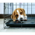 thumbnail image 1 of P-Tex Polycarbonate Dog Crate Floor Protector - 35" x 47", 1 of 5