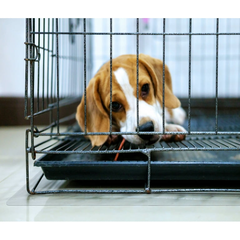 Protective mat for hotsell under dog crate