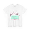 P!nk Pink Singer Summer Carnival 2024 Festival WORLD Tour T shirt