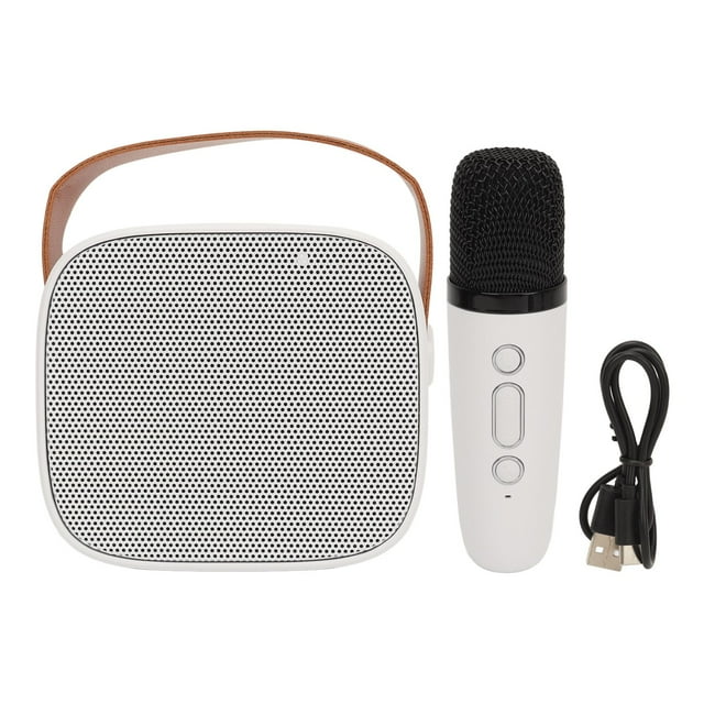 P2 Mini Karaoke Machine Portable Bluetooth Speaker with Wireless
