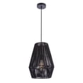 thumbnail image 1 of P2009-FB Craftmade Lighting 1 Light Pendant-15.75 Inches Tall and 11.81 Inches Wide     -Traditional Installation, 1 of 6