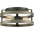 thumbnail image 1 of P350169-143-Progress Lighting-Gulliver - 2 Light Flush Mount-Graphite Finish, 1 of 9