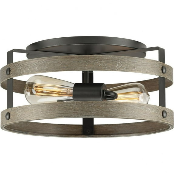 P350169-143-Progress Lighting-Gulliver - 2 Light Flush Mount-Graphite Finish