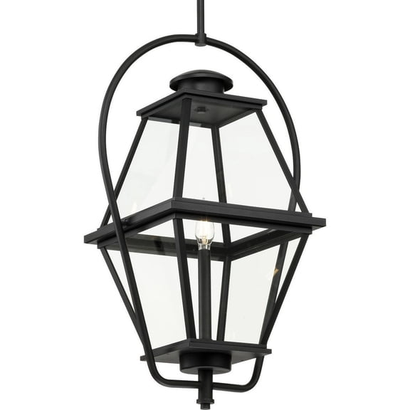 Progress Lighting Bradshaw 1-Light Outdoor Hanging Lantern, Textured Black, Clear Glass