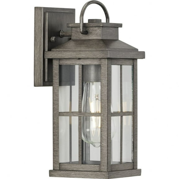 P560264-103-Progress Lighting-Williamston - 1 Light Outdoor Small Wall Lantern-Antique Pewter Finish
