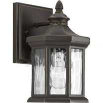 P6070-20-Progress Lighting-Edition - Outdoor Light - 1 Light in Transitional and Traditional style - 5.5 Inches wide by 9.13 Inches high-Antique