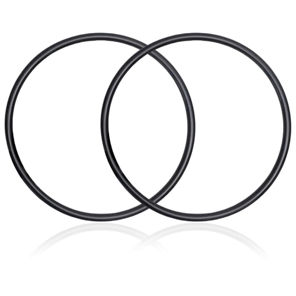 P6119 O-Ring Seal Gasket Compatible with Bestway Flowclear Pump Filter Cover Replacement(2Pack)
