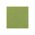 thumbnail image 1 of PA Paper Accents Glitter Cardstock 12? x 12? Olive Green, 85lb colored cardstock paper for card making, scrapbooking, printing, quilling and crafts, 15 piece pack, 1 of 6