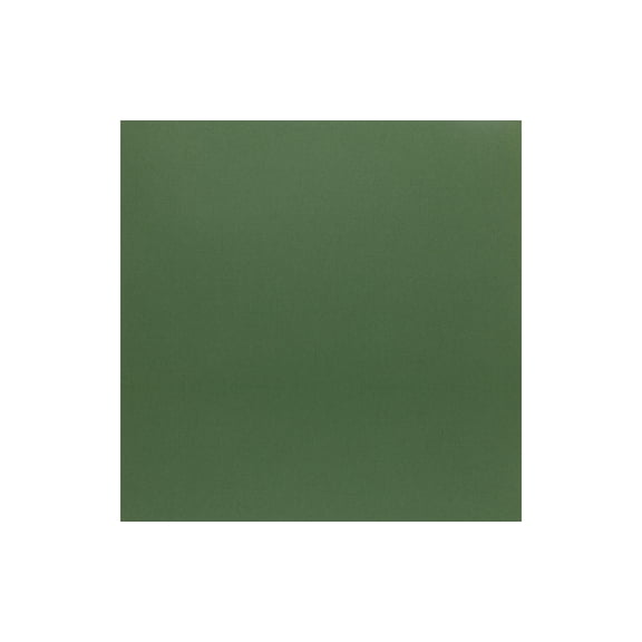 Paper Accents Muslin Texture Cardstock, Spruce Tree, 12x12 Inch, 25 Pack, 73lb, Scrapbooking Card Making and Crafts