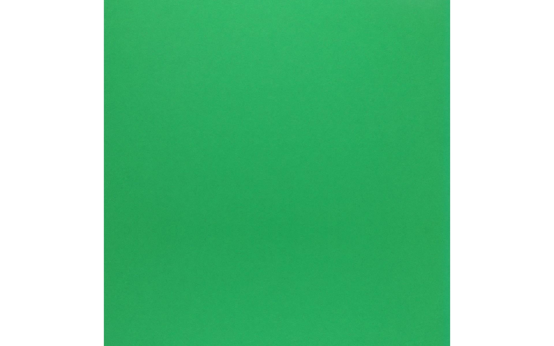 PA Paper Accents Smooth Cardstock 12" x 12" Green Grass, 65lb colored cardstock paper for card making, scrapbooking, printing, quilling and crafts, 25 piece pack