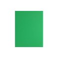 thumbnail image 1 of PA Paper Accents Smooth Cardstock 8.5" x 11" Green Grass, 65lb colored cardstock paper for card making, scrapbooking, printing, quilling and crafts, 1000 piece box, 1 of 5