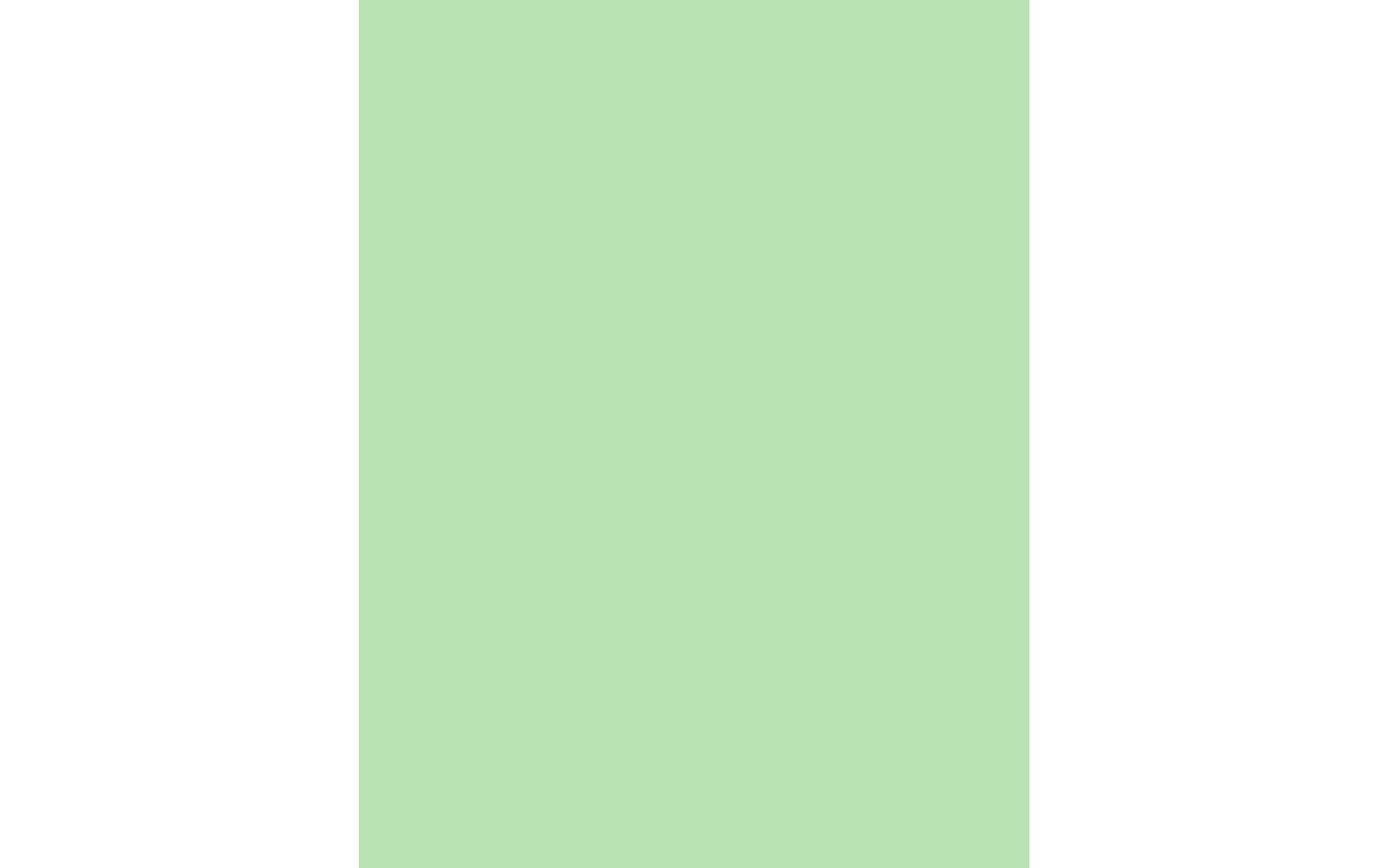 PA Paper Accents Smooth Cardstock 8.5" x 11" Light Green, 60lb colored