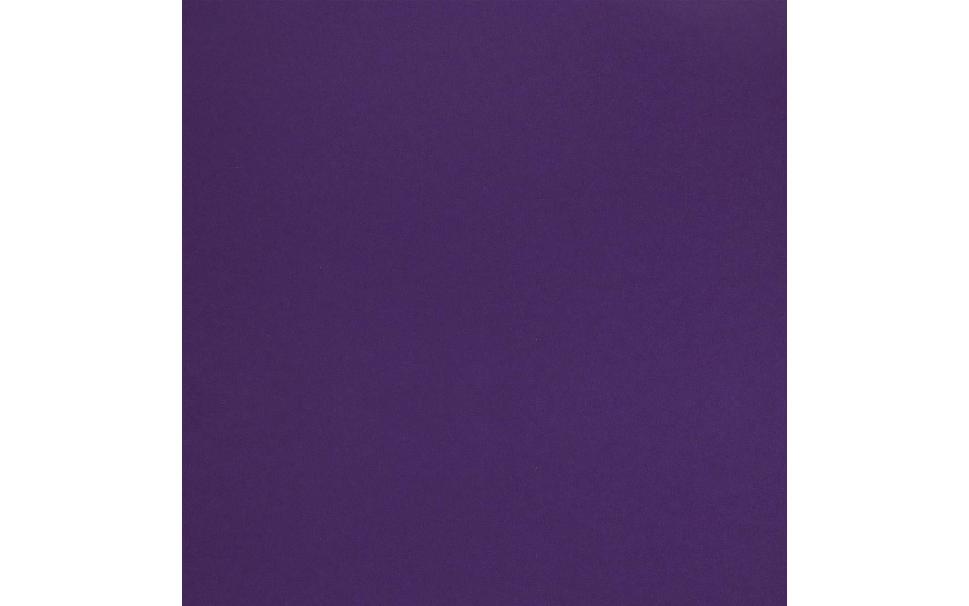 PA Paper Accents Stash Builder Cardstock 12" x 12" Purple Majesty, 65lb colored cardstock paper for card making, scrapbooking, printing, quilling and crafts, 1000 piece box