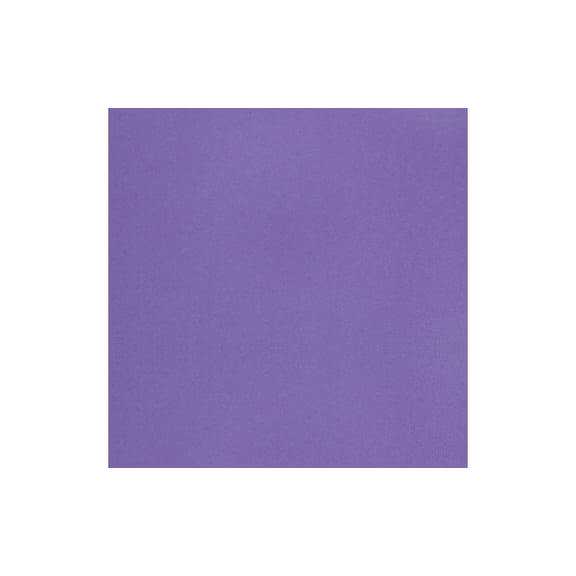 Paper Accents Muslin Texture Cardstock, Purple Rain, 12x12 Inch, 25 Pack, 73lb, Scrapbooking Card Making and Crafts