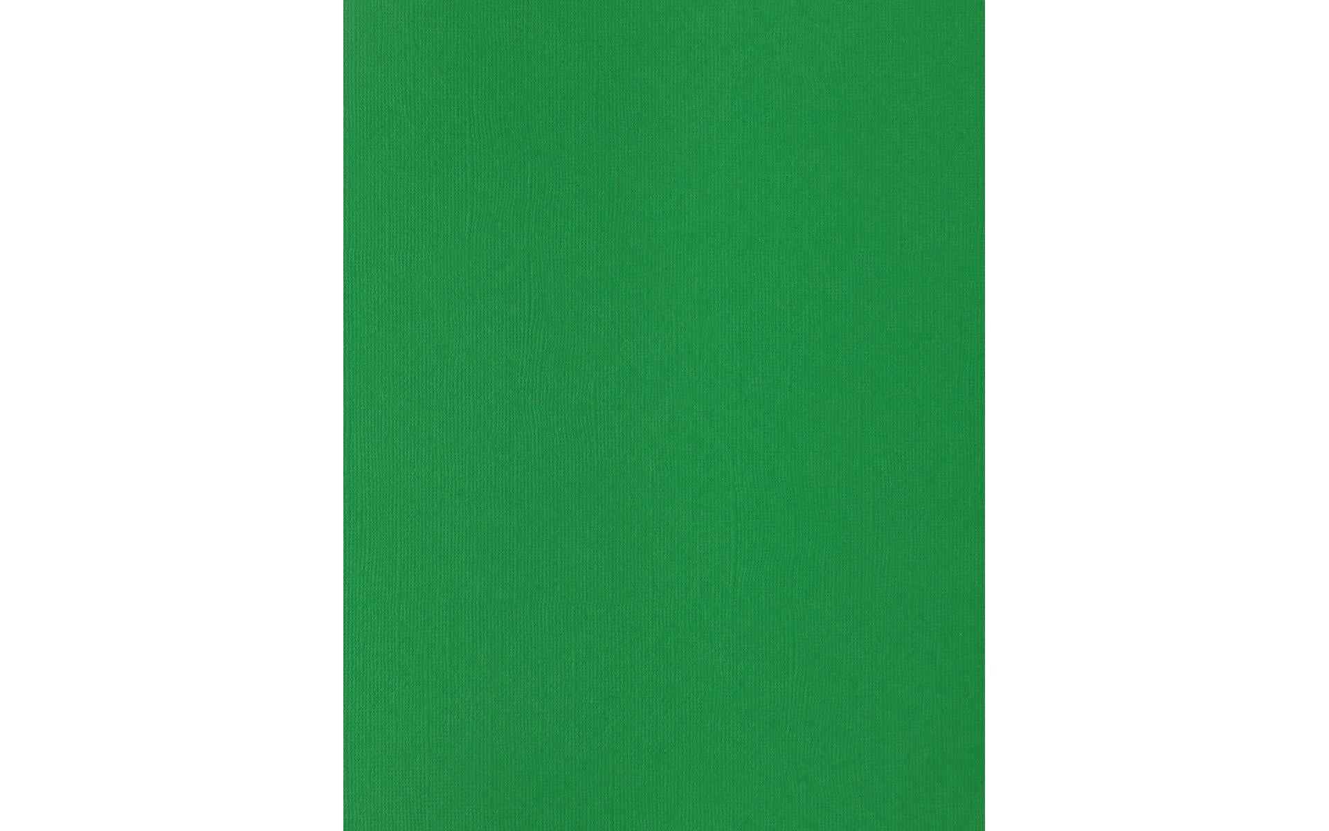 PA Paper Accents Textured Cardstock 8.5" x 11" Christmas Green, 73lb colored cardstock paper for card making, scrapbooking, printing, quilling and crafts, 1000 piece box