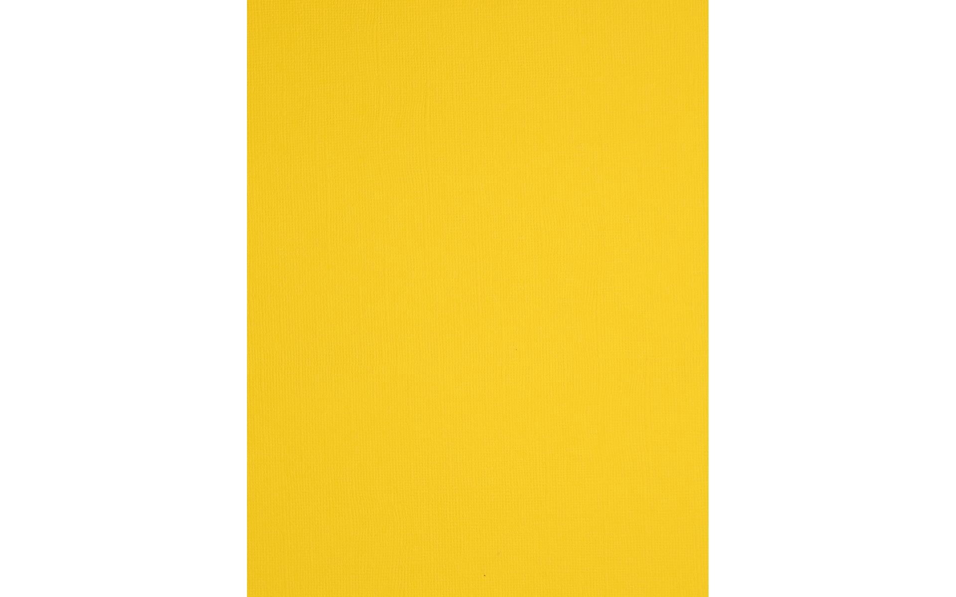 PA Paper Accents Textured Cardstock 8.5" x 11" Daffodil, 73lb colored cardstock paper for card making, scrapbooking, printing, quilling and crafts, 1000 piece box