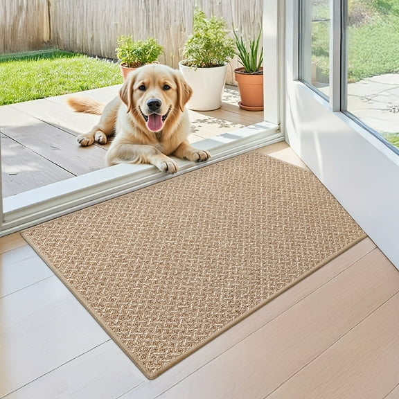 PABUBE Doormat 17"x30", Low-Profile Entry Mat Indoor Mat, Indoor Rug for Entryway, Dirt Trapper Entryway Rug, Non Slip Entry Rugs Washable Welcome Mat for Inside, Khaki