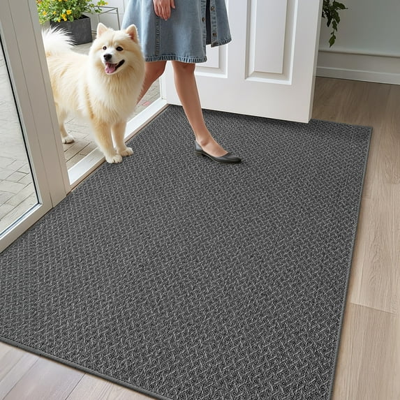 PABUBE Doormat 32"x48", Low-Profile Entry Mat Indoor Mat, Indoor Rug for Entryway, Dirt Trapper Entryway Rug, Non Slip Entry Rugs Washable Welcome Mat for Inside, Dark Gray