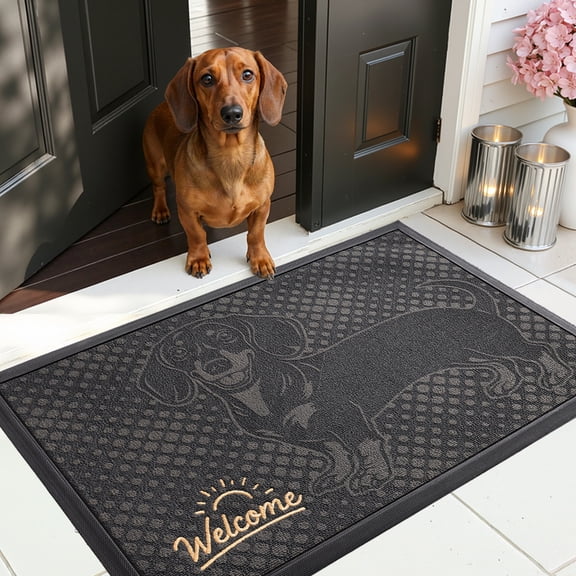 PABUBE Outdoor Doormat, Dachshund Welcome Mat, Heavy Duty Durable Doormat Outdoor Entrance, Non-Slip Dirt & Mud Trapper Outdoor Mat for Front Doors