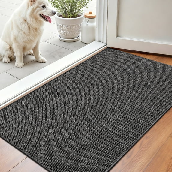 PABUBE Thin Indoor Doormat, Durable Dirt Trapper Entry Rug for Inside House, Non Slip Doormat Indoor Entrance, Low Profile Welcome Mat for Inside, Dark Gray, 24" x 36"