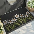 thumbnail image 1 of PABUBE Outdoor Doormat, Heavy Duty Non-Slip Spring Welcome Mat, Low Pile & Dirt Trapper Front Door Mat Outside, Black Patio Outdoor Mat for Front Doors, 32" x 48", 1 of 9