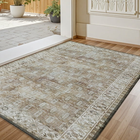 PABUBE Vintage Indoor Doormat Washable, Boho Entry Rug for Front Door - Low Profile Retro Welcome Mat for Inside Non Slip Entryway Rug 24"x35"