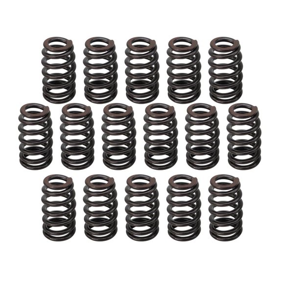 PAC-1219 16 PCS Racing Beehive Valve Spring Kit, 16PCS 0.625 Inch Max Lift Performance Springs Replacement for GM LSX LS1 LS2 LS3 4.8L 5.3L 6.0L 6.2L Engines