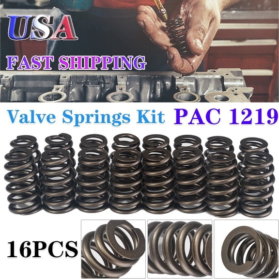 PAC 1219 Drop-in Beehive Valve Springs For GM LS 4.8 5.3 5.7 6.0 6.2L 0.625 Lift