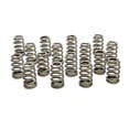 thumbnail image 1 of PAC-1220X 1.44 in. Ovate Beehive Valve Springs - Pack of 16, 1 of 1