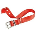 thumbnail image 1 of PACC Pets 75256922 Club Cf15 & 35 0. 63 inch Dog Collar, Red, 1 of 1